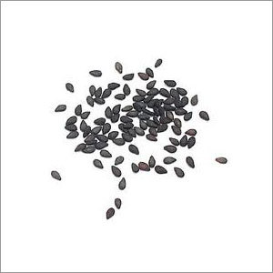 Sesame Seed