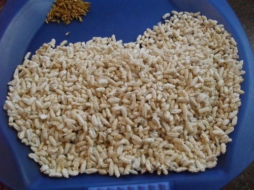 Paddy Pori