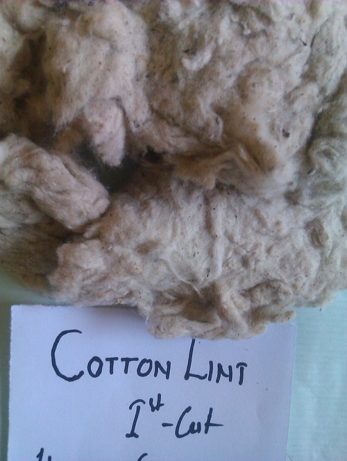 Cotton Lint 1st Cut - Cotton Beige, Bulk, <10% Moisture | High Fiber, Digestible, Palatable Roughage