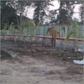 Hydrant Pipe