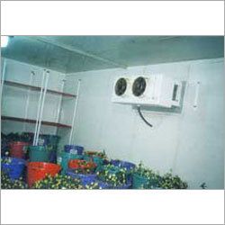 Cold Storages