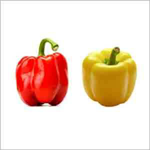 Bell Pepper