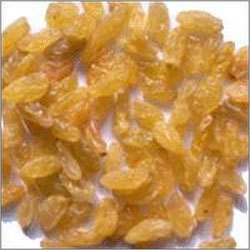 Golden Raisins