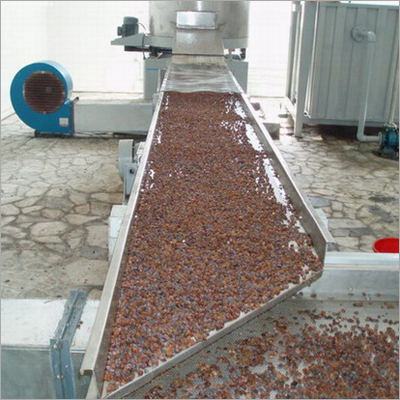 Automatic Raisin Sorting Machine
