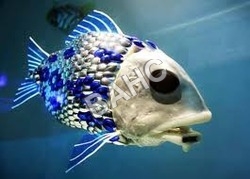 Fish Care Product