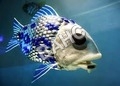 Fish Care Product