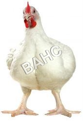 Chlortetracycline 	