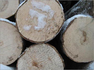 Round Logs