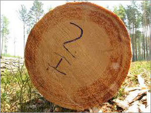 Round Logs