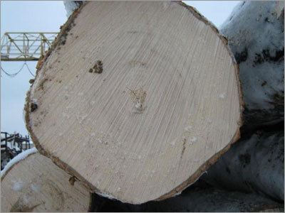 Round Logs