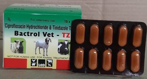 Ciprofloxacin and Tinidazole Tablets