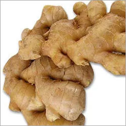 Ginger Oil