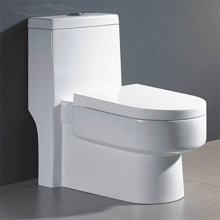 Siphonic One Piece Toilet