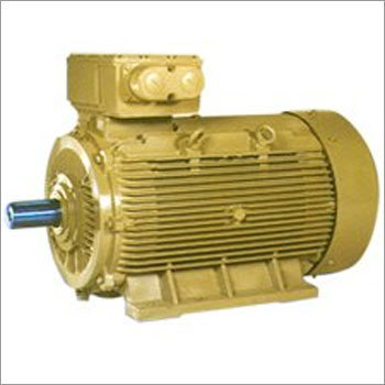 TEFC Squirrel Cage Induction Motor