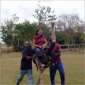 Ostrich Ride