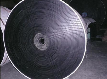 Chemical Resistant Conveyor Belt