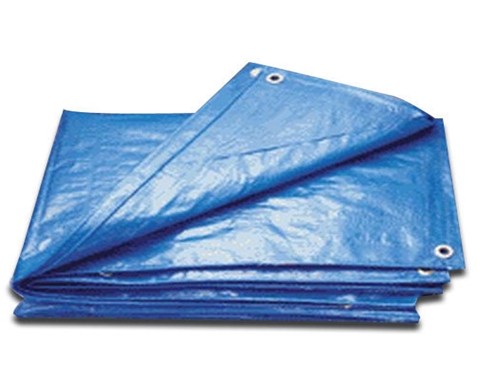 Plastic Tarpaulin