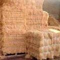Raw Coir Fiber - Coconut Husk Material, Brown Color, 100-300mm Fiber Length | Eco-friendly, Durable, Versatile For Rope, Mats, Brushes, Mattresses