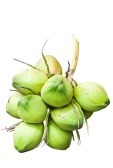 Coconut