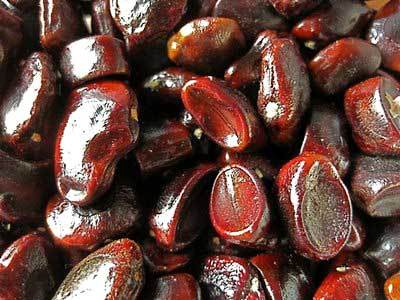 Tamarind Seeds