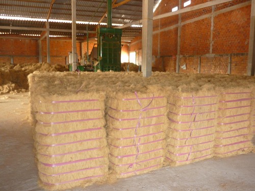 Coir Fibre