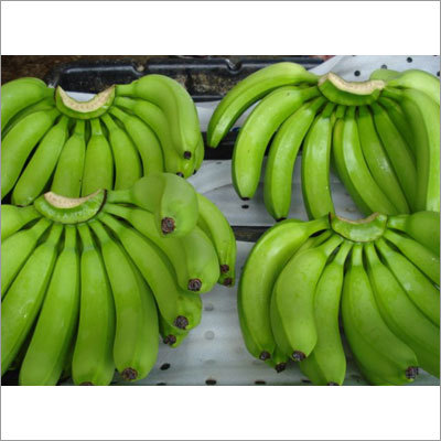 Fresh Cavendish Bananas