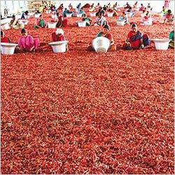 Dry Red Chilli