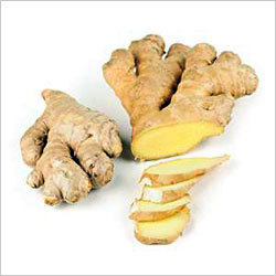 Ginger