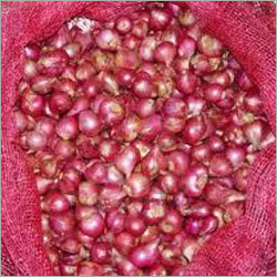 Onion