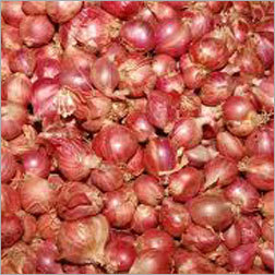 Sambar Onion