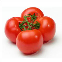 Tomatoes - Red Round Variable Diameter | Fresh Juicy Ripe Sweet Tasty Versatile Nutritious