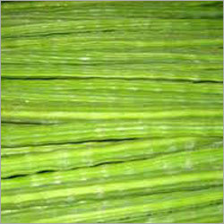 Drumstick