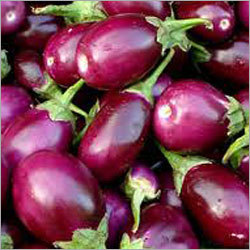 Brinjal
