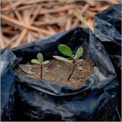 Nursery Bags