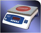 Steel Silver Weighing Scale