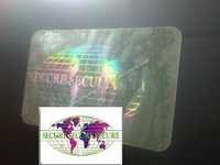 SECURE GLOBE