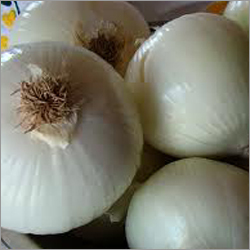 White Onion