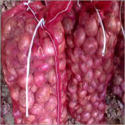 Onion