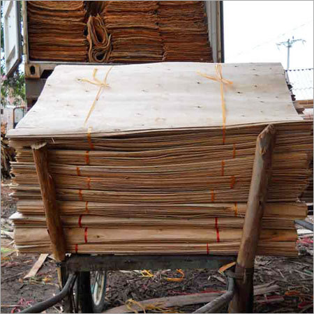 Eucalyptus Wood