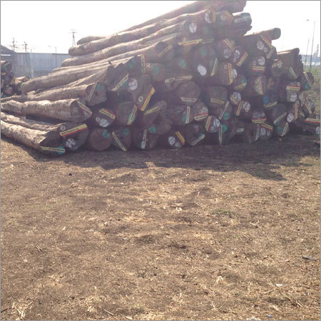 Pine Wood Sawn Timber