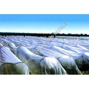 Non Woven Agriculture Fabrics