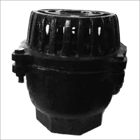 Foot Valve Screwed