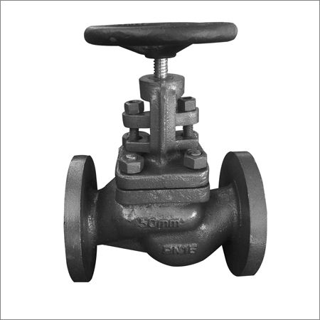 Globe Valve