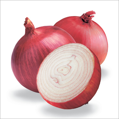Onion