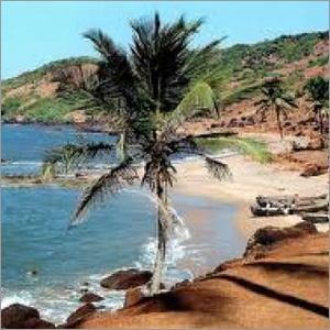 Holiday Tour Package