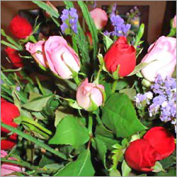 Cut Flowers