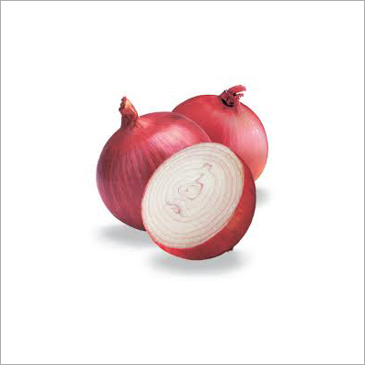 Fresh Onion