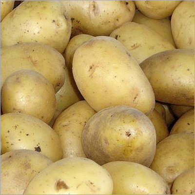 Potato