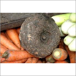 Elephant foot Yam