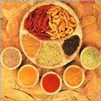 Indian Cooking Spices